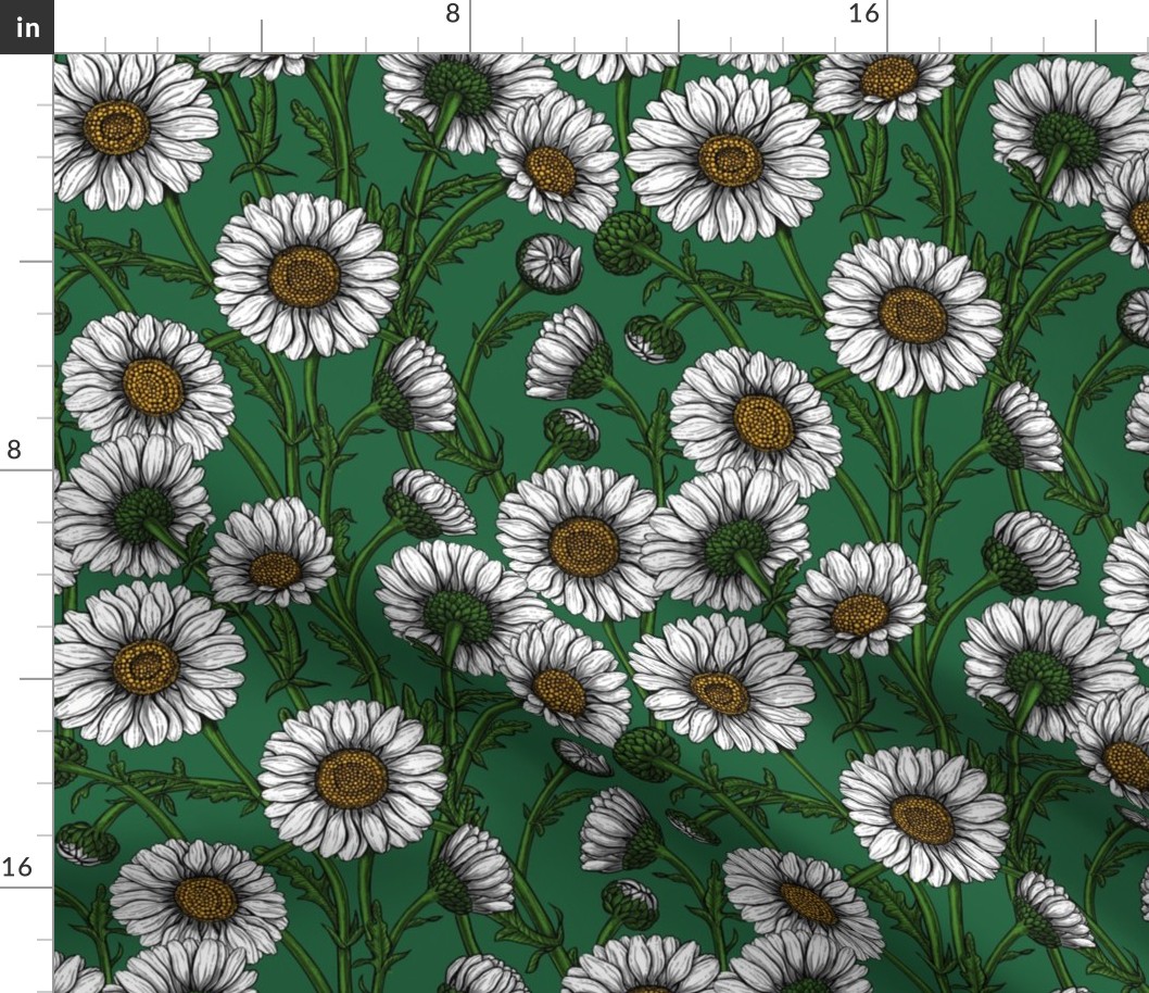 Daisies on emerald green