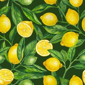 Lemon branches, green leaves on dark green