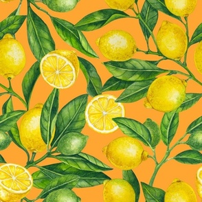 Lemon branches, green leaves on orange