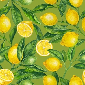 Lemon branches, green leaves on green