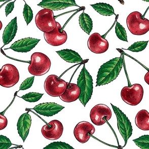 Red cherries on white