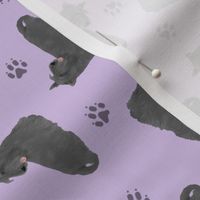 Tiny black Scottish terriers - purple