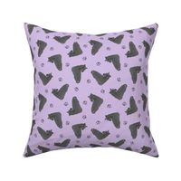 Tiny black Scottish terriers - purple