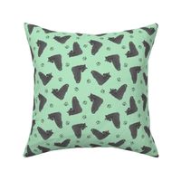 Tiny black Scottish terriers - green