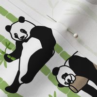 Giant Panda Pattern 