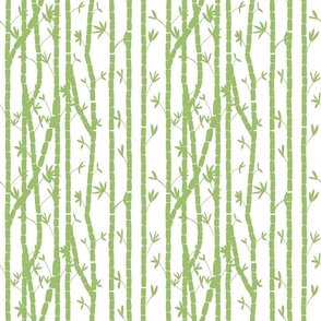 Bamboo Pattern 