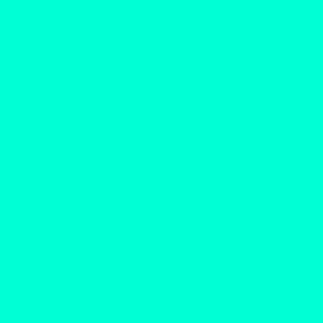 Solid Blue Bold Bright Turquoise 00FFD5 Plain Fabric Solid Coordinate