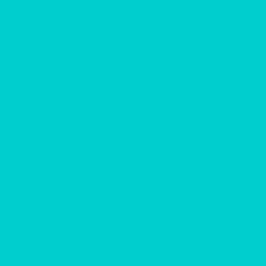 Solid Blue Dynamic Robin Egg Blue 00CCCC Plain Fabric Solid Coordinate