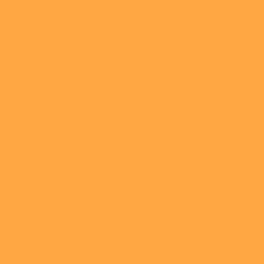 Solid Orange Fresh Neon Carrot FFA64C Plain Fabric Solid Coordinate