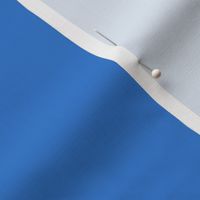 Solid Blue Subtle Sapphire Blue 527ACC Plain Fabric Solid Coordinate