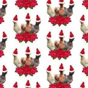 Silkie Bantam Chickens Santa Hat Poinsettia