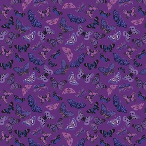 scattered butterfly - purple - small