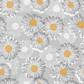 Daisy Flowers 