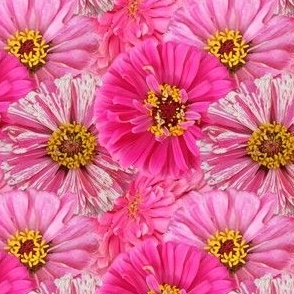 Pink Zinnia Flower Garden Bouquet Repeat