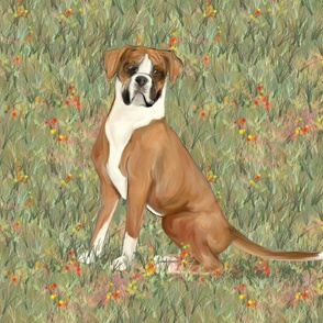 Sitting Boxer Dog in Wildflower Field for Pillow