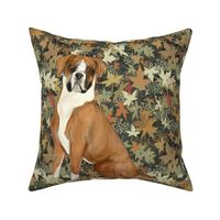Sitting Boxer Dog in Autumn Leaves for Pillow