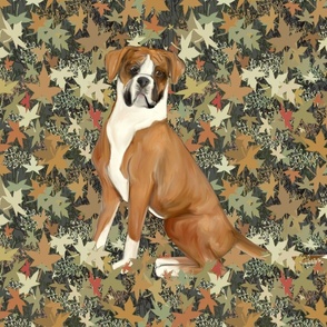 Sitting Boxer Dog in Autumn Leaves for Pillow