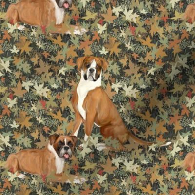 Two Boxer Dogs on Autumn Leaves
