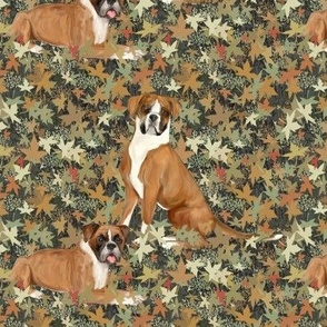 Two Boxer Dogs on Autumn Leaves