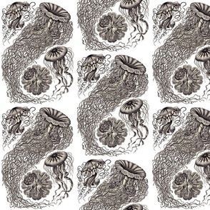 Ernst Haeckel  Jellyfish Aubergine Large Scale
