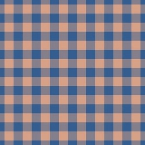 Gingham Pattern - Adobe Brick and Lapis Blue