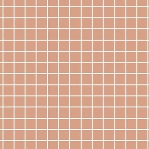 Grid Pattern - Adobe Brick and White