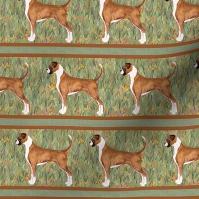 Boxer Dog Stripe with Natural Ears and Tails