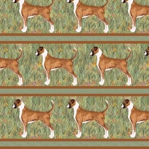 Boxer Dog Stripe with Natural Ears and Tails