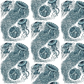 Ernst Haeckel  Jellyfish Cerulean Large Scale