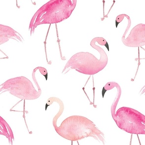 hot pink flamingos - watercolor flamingos in pink on white