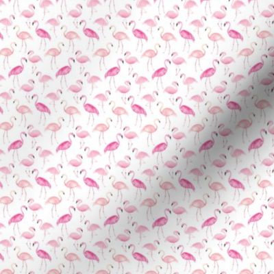 Watercolor pink flamingos on white / small / for fun bright pink tropical accessories and bows