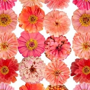 Zinnia Garden No. 16, Orange and Pink Flower Garden Mix