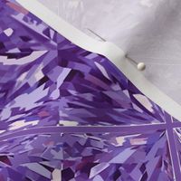 Precious Gems Amethyst (large scale)