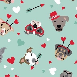 Valentine Puppy Party - Aqua, Large Scale