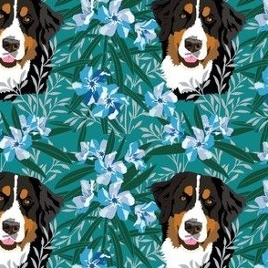 small print // Bernese Mt Dog and Pantone Blue Green Floral blue flowers