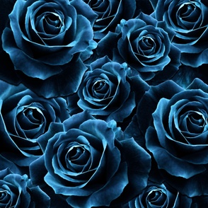 Velvet Roses Blue - Large non repeat print 