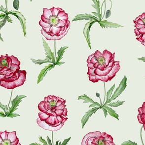 shirley poppies scattered small scale - soft mint