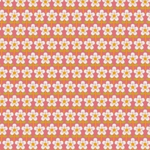 364 - Pretty little flowers all in a row in a pretty coral orange and green palette - for home decor, little dresses and cotton knit tops.