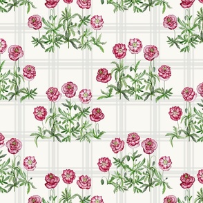 grouped poppies on checks small scale - cream