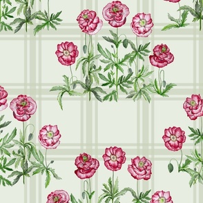 grouped poppies on checks - soft mint