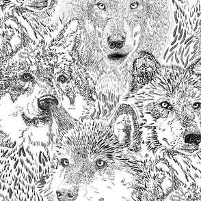 Pack of Wolves 