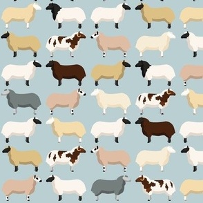Farmhouse Sheep