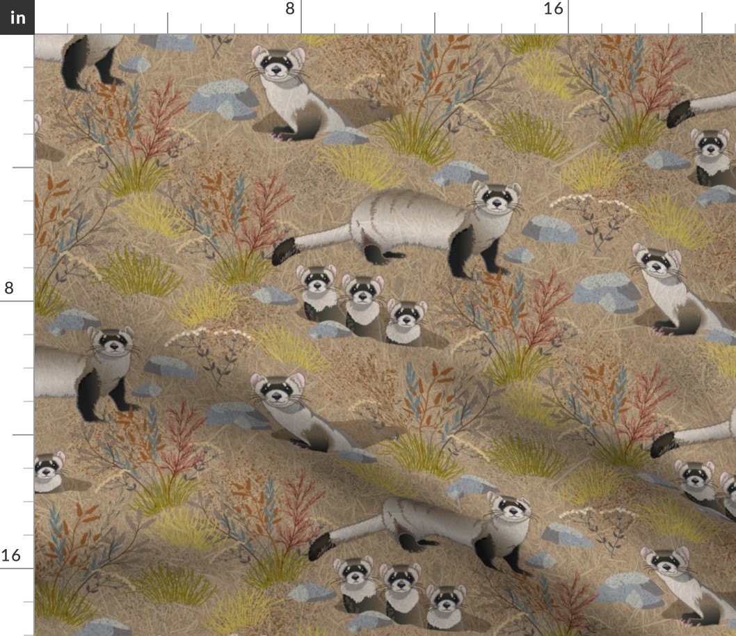 Black-Footed Ferrets On The Prairie-L