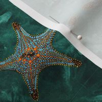 Starfish