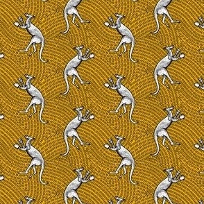 kangaboom