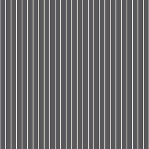 VERTICAL STRIPES IN CHARCOAL