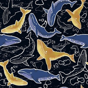 Blue whales deep blue