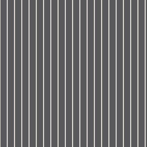 VERTICAL STRIPES IN CHARCOAL