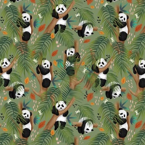 Panda jungle