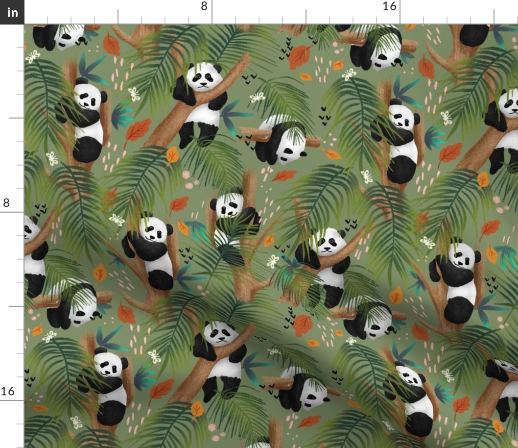 Panda jungle